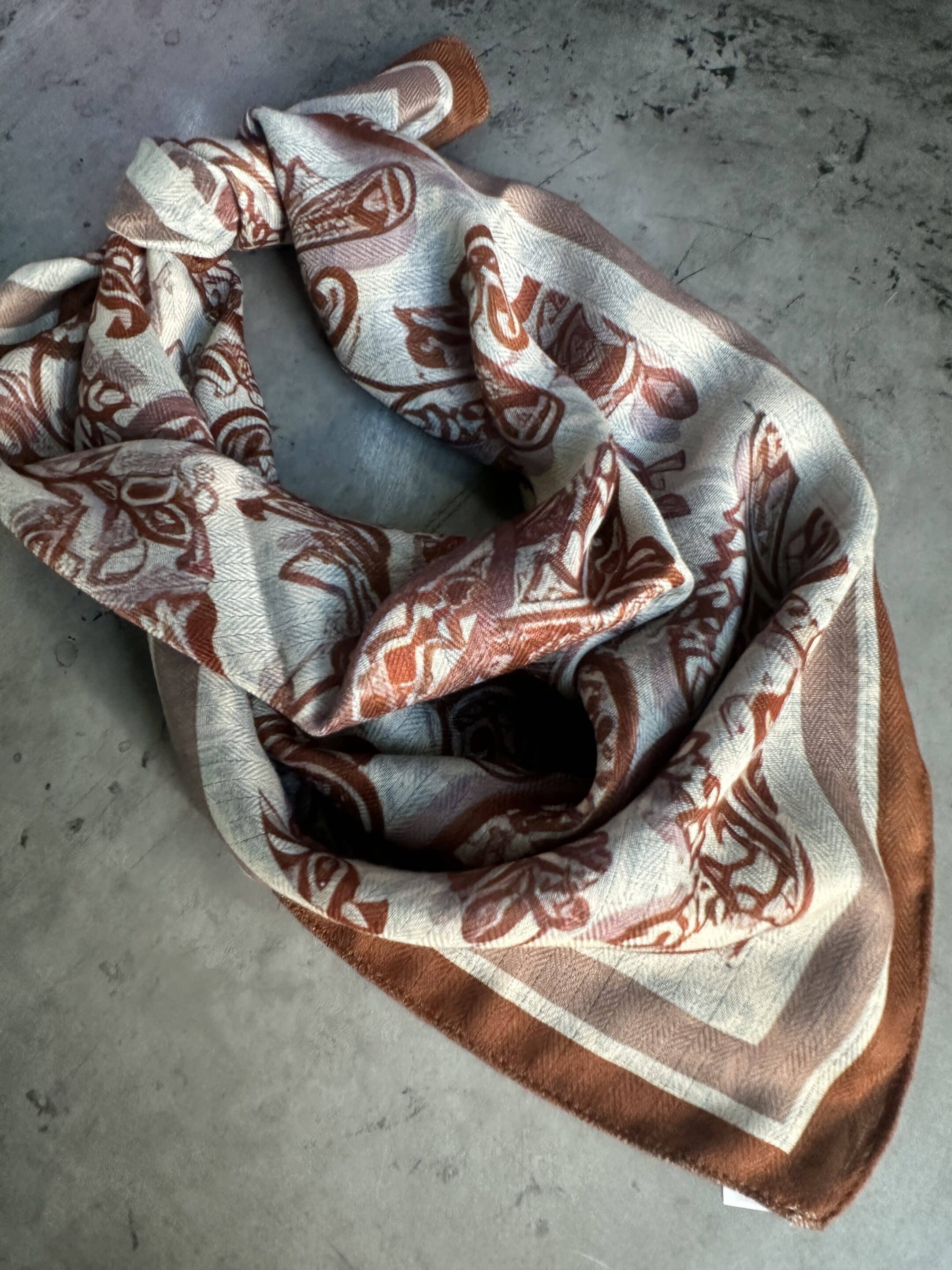 Rust Paisley/Navy Paisley Silk Velvet Wild Rag image 1