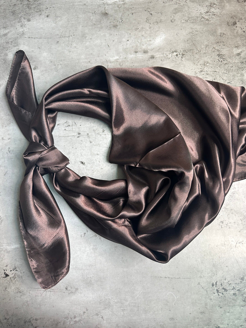 Chocolate Brown Wild Rag image 2