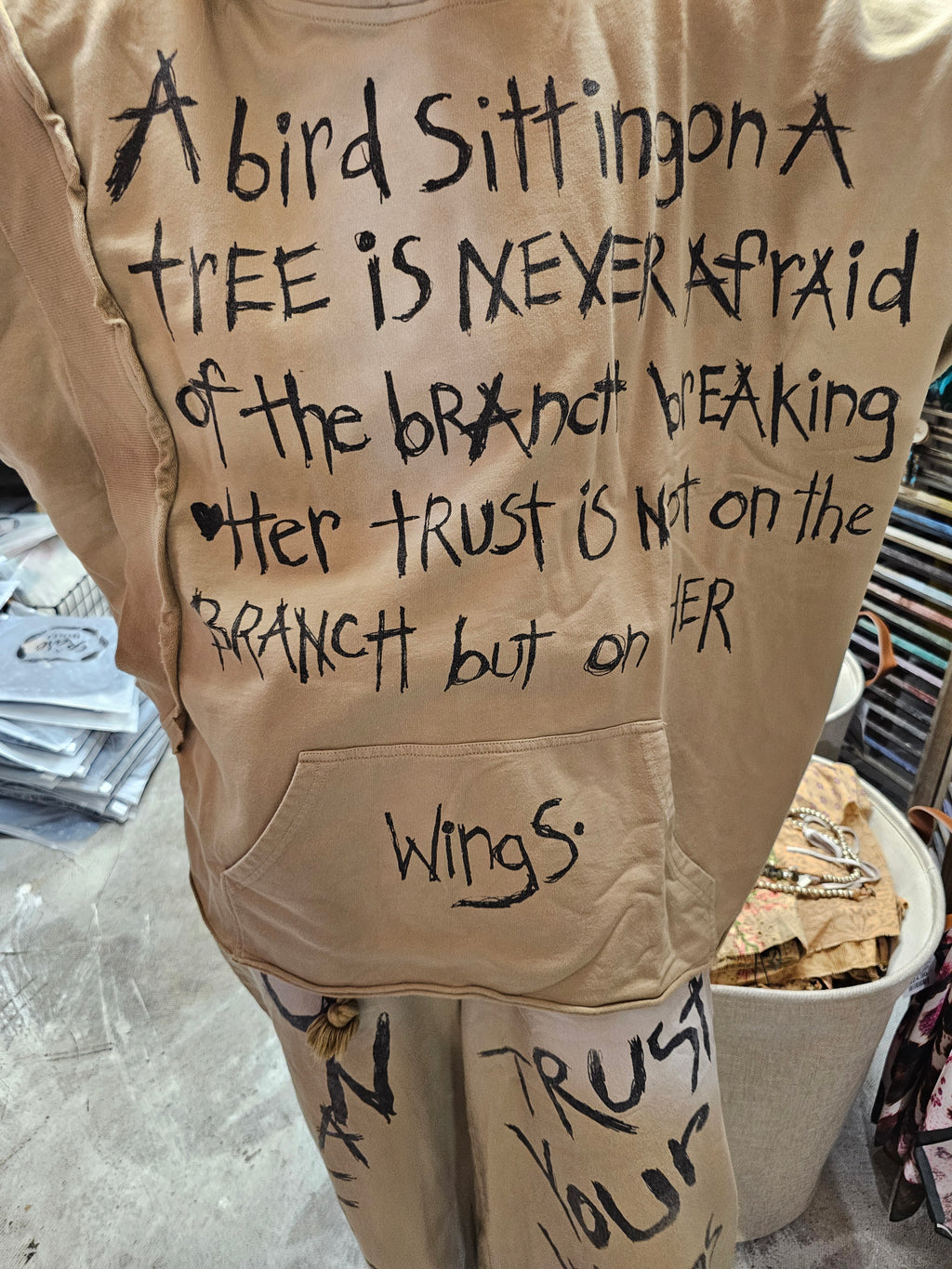 Borrowed Wings Hoodie