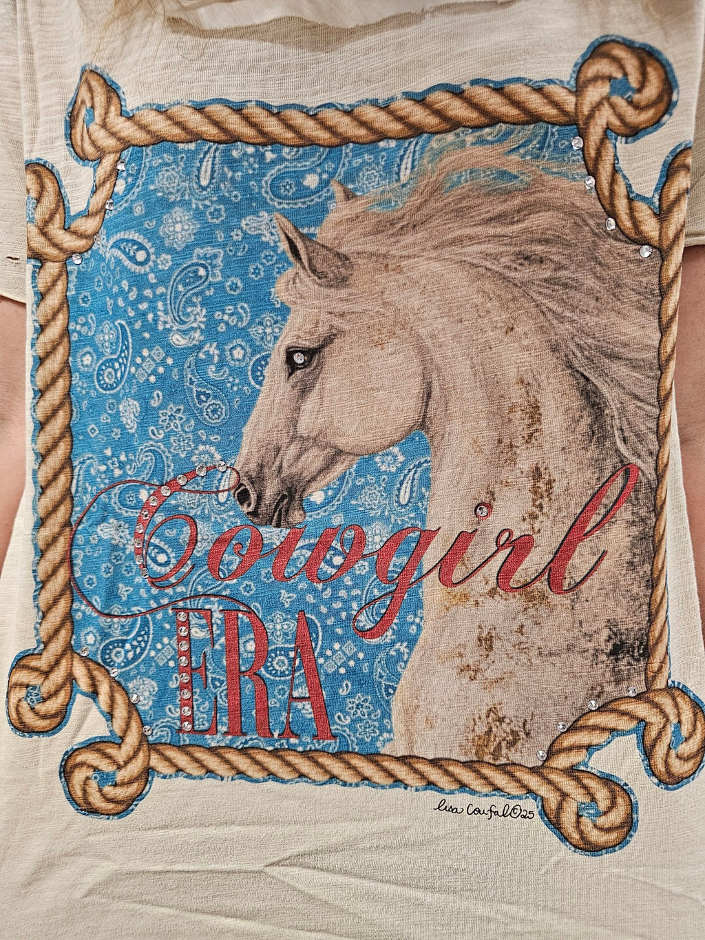 Cowgirl Era Tattered Shirt Bundle image 0