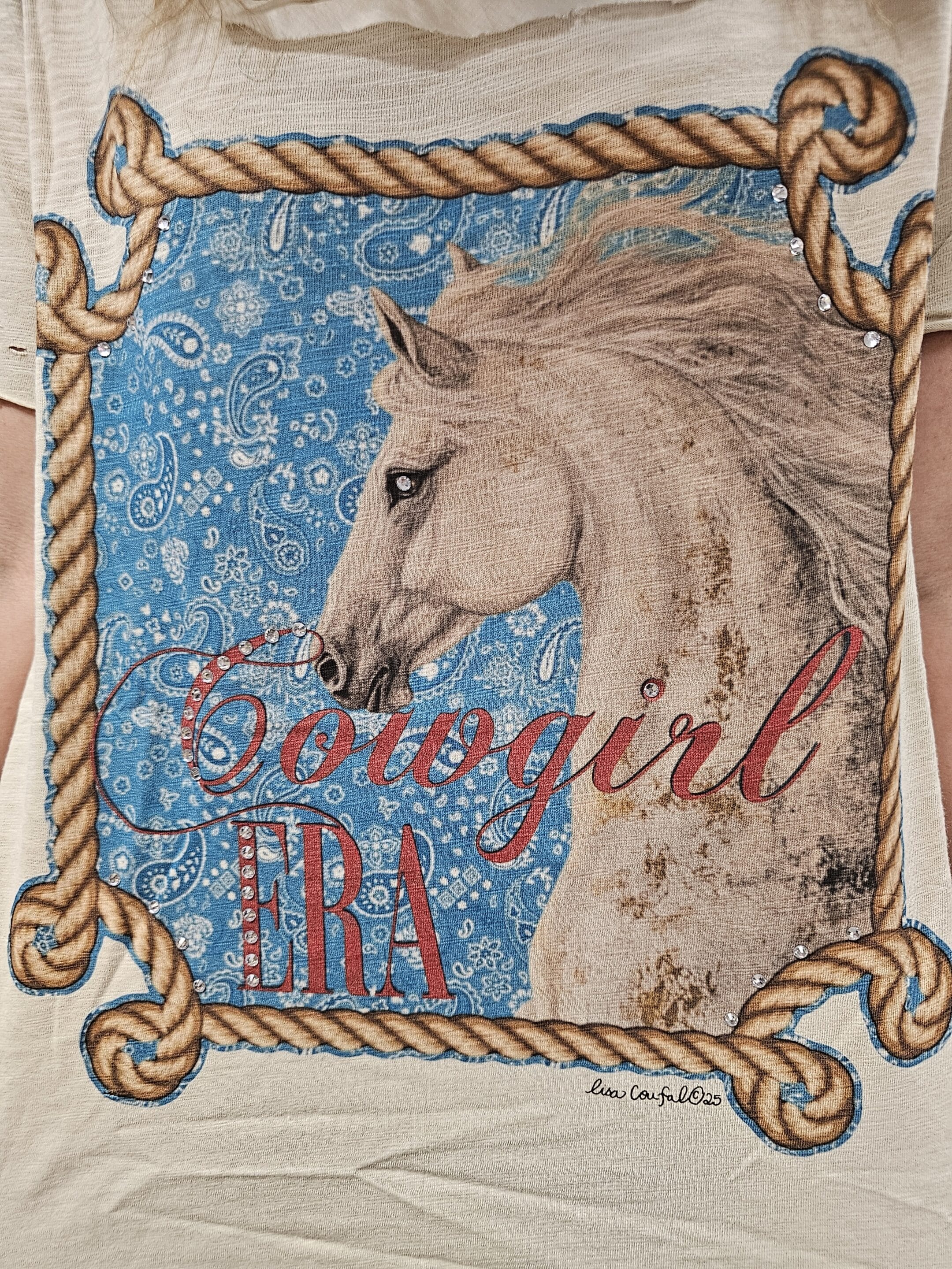 Cowgirl Era Tattered Shirt Bundle image 0