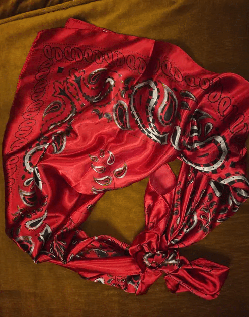 Brilliant Red Bandana Wild Rag image 1