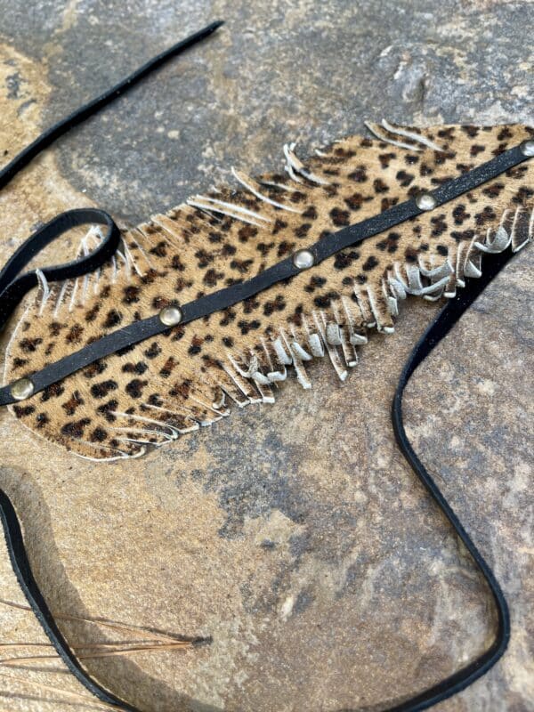 Leopard Hatband Bundle - Image 3