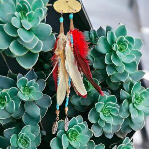 Fancy Indian Feather Earrings